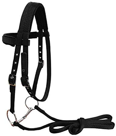Mealoodiousmusea Zaumzeug, Zaumzeug, Halter, abnehmbare Trense, Nylongewebe, schwarz, L