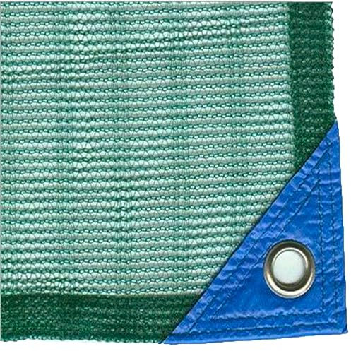 Filet de collecte de fruits de plantation verte de qualité supérieure pour la récolte agricole Protégez vos noyers, oliviers, châtaigniers, abricotiers et noisetiers, grande taille, 5 x 10 m