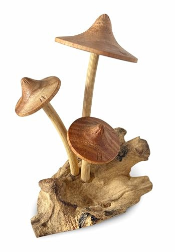 MAISONICA Assorted Parasol Mushrooms on Root Wooden Sculpture Ornament - Hand Crafted on Teak Root