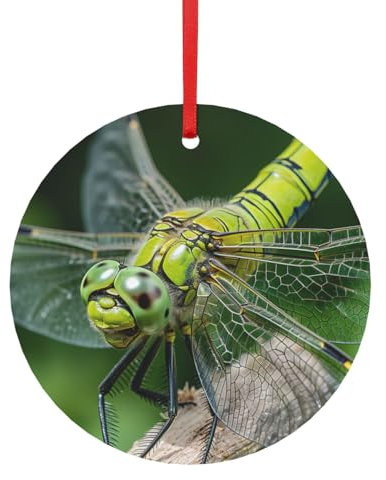 Spinnennetz, Libelle, Metall, Sublimationsdekoration, Weihnachtsschmuck für Weihnachtsbaumdekoration, Anhänger mit Band, verschiedene Größen (klein, groß)