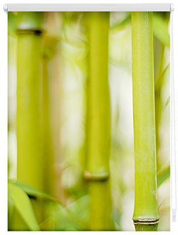 Lichtblick Klemmfix Verdunklungs-Rollo mit Motiv, ohne Bohren, Blickdicht, Seitenzugrollo, Made in Germany, Bambus - Grün 80 x 150 cm