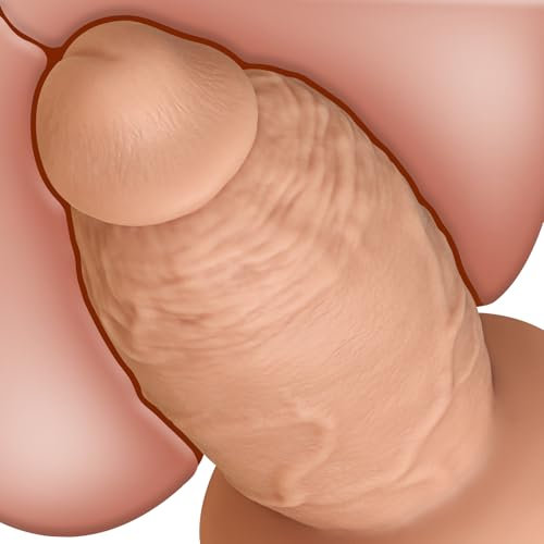 19 × 9,5 cm Masajeador de Dildo XXL on Base de Ventosa Fuerte para una Posición Estable, Silicona de Doble Capa, Juguete Unisex de Línea Recta para el Bienestar de Adultos