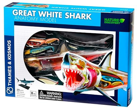 Thames & Kosmos , 261110, Great White Shark Anatomy Model, 20 Parts with Stand and Illustrated Guide Book, Nature Discovery Range, Detachable Parts, 3D Models, Ages 8+