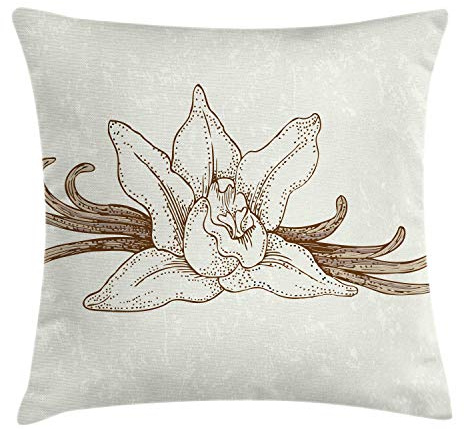 ABAKUHAUS Vainilla Funda para Almohada, Flor aromática de la Vendimia, Colores Perdurables Tela Lavable, 45 x 45 cm, Marfil y Umber