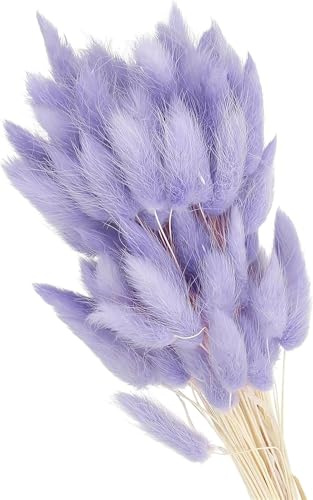 Youning Kunstblumen 50 Stück Lagurus Ovatus Kaninchenschwanz Getrocknete Blumen, Künstliche Blumen, Bunt Künstlicher Kaninchenschwanz Gras Blumenstrauß, Natürliche Getrocknete Blumen (Hellviolett)