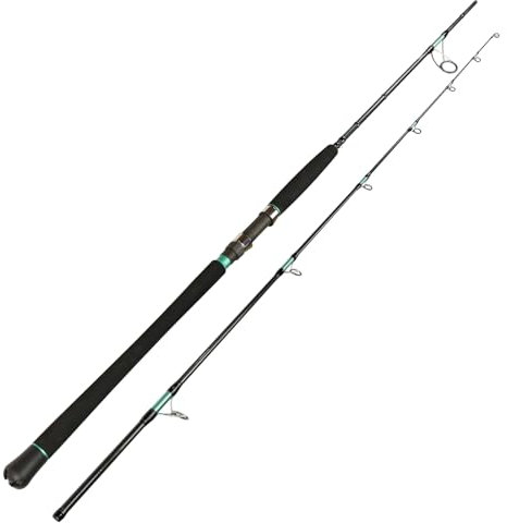 Sportex Magnus Mastergrade Shore Jig & Cast RS-2 MC3006 3,00m 45-120g Meeresrute