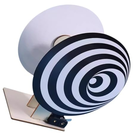 VICASKY Visuales 3D ayudas educativas juguetes para el aula para ilusiones ópticas -brotes caso rompecabezas cubo juego científico kit plástico