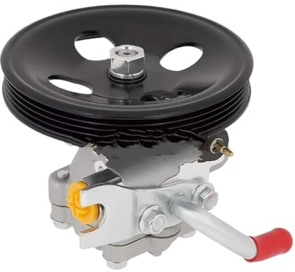 Pompa servo idraulica Per Chevrolet Per GMC Per Tracker 1.6L 1990-1991 30008716 4910056B00 4910060A00 AA121-5896 36-215221 Pompa Del Servosterzo