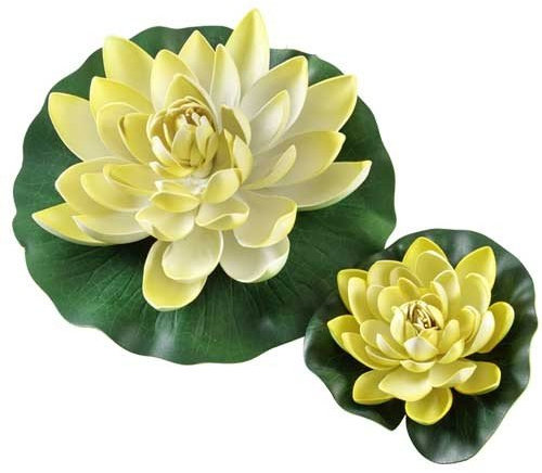 Seerose gelb 20 cm
