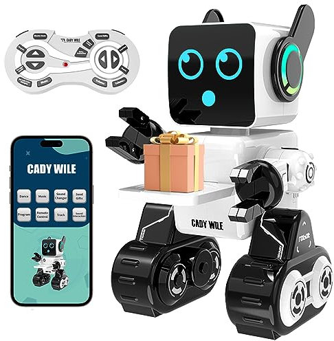 Anysun Roboter Spielzeug für Kinder, Intelligente RC-Roboter mit Berührung, APP und Fernsteuerung, Programmierbares Roboter Spielzeug, Laufen, Tanzen, Singen, Sprechen, Geschenk für Jungen und Mädchen