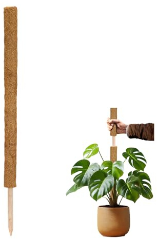 La Cordeline Rankhilfe für Kletterpflanzen, Halterung aus natürlicher Kokosfaser für Monstera, 90 cm, 1 Stück