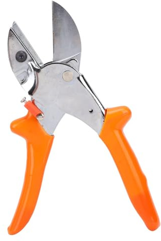 ANKROYU Ciseaux de taille de qualité professionnelle, ciseaux de jardinage haut de gamme pour arbres, arbustes, fleurs, plantes en pot, outils de coupe robustes
