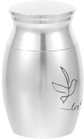 OSOLADY Urna y Acero Pequeña Inoxidable Loro en Cenizas de Mini Capacidad Soporte Conmemorativo Elegante Delicado para Pájaros Memorial