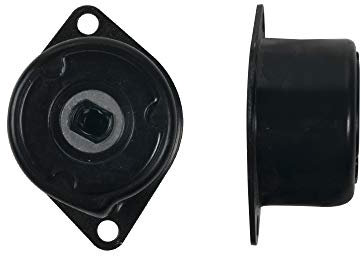 Gates T38576 Spannrolle, Keilrippenriemen