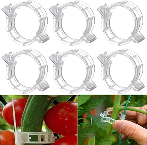 100 Stücke Pflanzenclips, Rankhilfen für Kletterpflanzen Pflanzenklammern, Kunststoff Tomatenklammern für Kletterpflanzen, Pflanzen Clips, Blumen klammern für Gemüse Tomate Pflanzen Befestigung