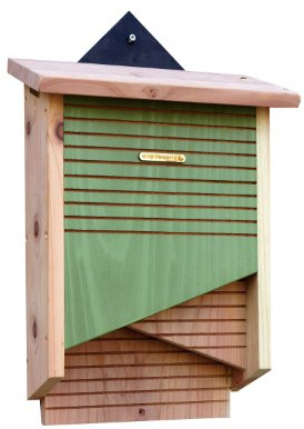 Wildlife World Boîte Conservation Chauve Souris
