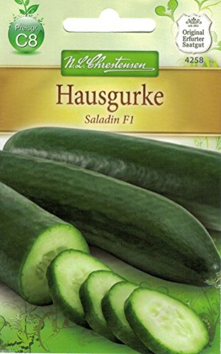 Chrestensen Hausgurke 'Saladin F1'