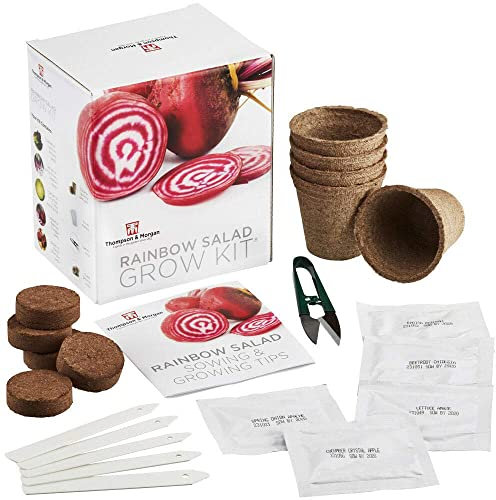 Rainbow Salad Seed Growing Kit Grow Your Own Five Colourful Varieties of Salad to Grow; Lettuce, Spring Onion, Radish, Beetroot & Cucumber Seeds, A Perfect Gardening Gift by Thompson & Morgan