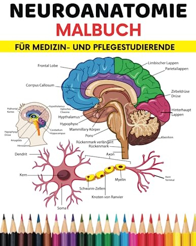 Neuroanatomie Malbuch Für Studierende der Medizin und Krankenpflege: Der einfache und effektivste Weg, Neuroanatomie für Studenten zu lernen