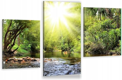 HUBDECO 3-Teiliges Leinwand Bild Wohnzimmer - Bilder, Poster, Kunstdrucke - Leinwandbild - Bild auf Leinwand - Tolle Zimmerdekoration - Schlafzimmer Bilder - 94x60 cm Wald Wasser
