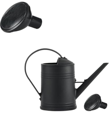 VIVIWI Annaffiatoio con manico ergonomico da 2 l, beccuccio corto e lungo, testa rimovibile, facile da trasportare, per serre e giardino