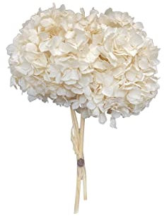 Pandecor Hydrangea Stabilized Color Cream Bouquet x2 d.20cm