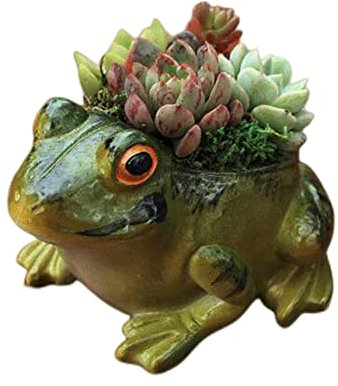 XZJMY Vasi per piante grasse, decorazione a rana, piccoli animali, per piante grasse, grazioso vaso da fiori a forma di cactus/fioriere da giardino per casa, ufficio, scrivania, mini ornamento