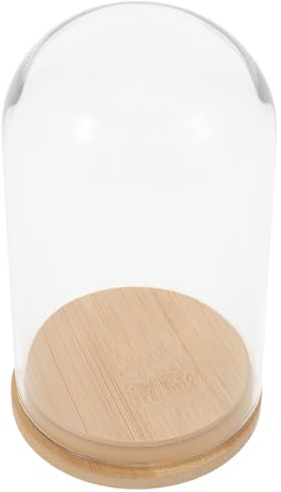 BESPORTBLE Glass Dome Bell Jar for Plant Terrarium with Sealed Bamboo Base Transparent Dustproof Display Cloche Handmade Glass Planter Vase for Air Plant Propagation and Home Decor
