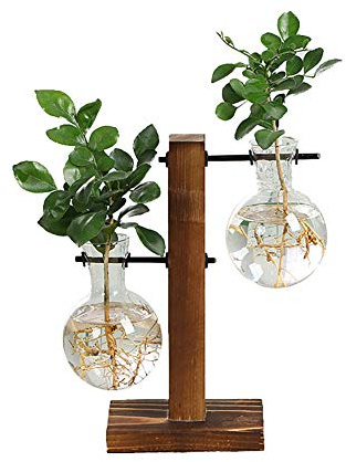 Glastöpfe mit Vintage Holzrahmen, Zwiebelvase mit Vintage Holzständer, Vertikale Pflanzenvasen Vintage Blumentopf für Hydrokulturpflanzen Familie Garten Hochzeit Dekoration