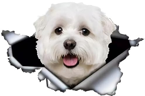 Malteser 3D Reflektierende Autoaufkleber 15cm (5.9 Inch) - Zerrissen Haustier Hund Lustig Dekor - Maltese Car Sticker
