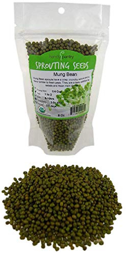 Mung Bean Sprouting Seed: 8 Oz - Organic, Non-GMO - Handy Pantry Brand - Dried Mung Beans for Sprouts, Garden Planting, Chinese & Asian Cooking, Soup & More
