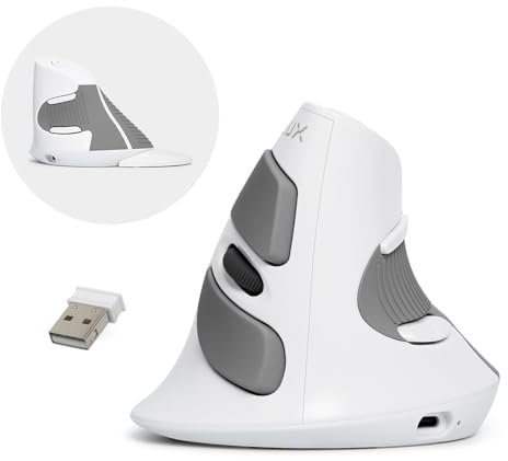 DELUX Souris ergonomique sans fil, rechargeable, double mode, Bluetooth/2,4 G, clic silencieux, repose-poignet amovible, 800/1200/1600 DPI, 6 boutons, pour ordinateur portable/PC/Mac (M618G DB-White