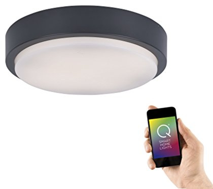 Paul Neuhaus Q-Lenny LED Wand- Deckenleuchte Ø36cm anthrazit rund smarthome | Staub- und Strahlwassergeschützt, Alexa-fähig Smart Home, dimmbar mit Fernbedienung, RGB-Farbwechsel, warmweiß