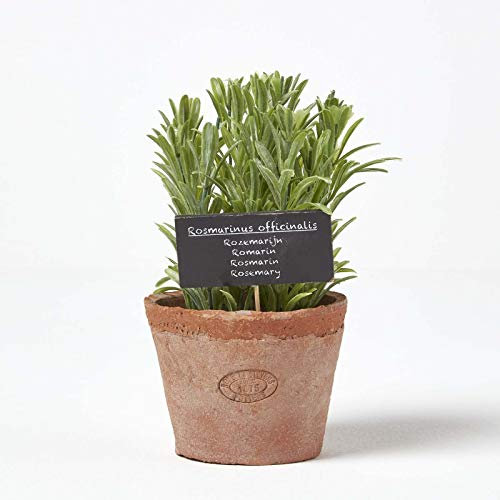 HOMESCAPES Artificial Rosemary in Terracotta Pot Decorative Faux Herbs Potted in Distressed Planter for Indoor Decoration, 16 cm Tall
