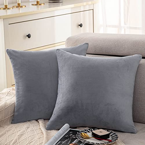 Soifox 2er Set Kissenbezug 40x40 Grau Samt Zierkissenbezüge Superweich Flauschig Kuschelig Kissenbezüge Dekorative Deko Kissen Sofakissen Lendenkissen Wurfkissenbezug Schlafzimmer Kissenhülle