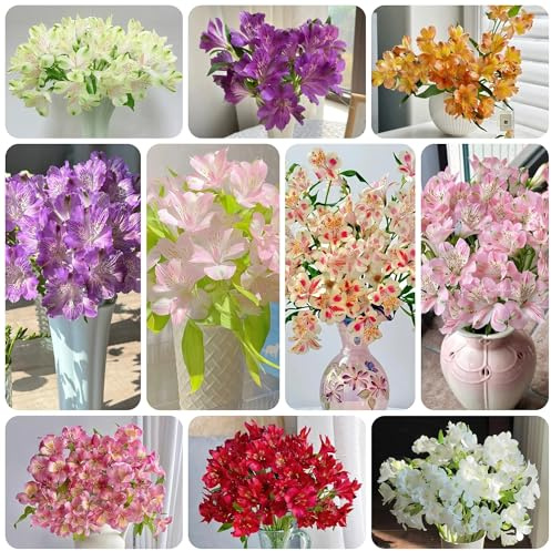 alstroemeria - blumenwiese mehrjährig, herbst deko balkon, winterharte kübelpflanzen garten 125samen