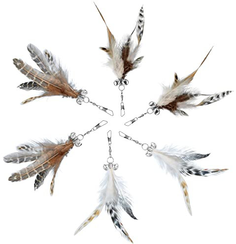 MWOOT 6 Pezzi Giocattoli Piume Gatto con Campane, Accessorio Filatura Giocattoli Piume per Gatti Interni e Gattini, Ricariche Piume Ricambio, Giocattoli Gatti Piume per Giocare Prendere e Esercizio
