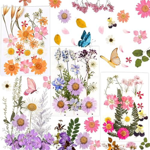 58 Stück Gepresste Blumen, Gepresste Blumen Set, DIY Gepresste Blumen, Natürliche Getrocknete Blumen, für DIY-Fotorahmen, Geprägte Gemälde, Kunsthandwerk, Trockenblumen-Make-up, Maniküre verwendet