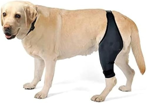 Manicotto Regolabile Per Le Zampe Posteriori Del Cane: Morbido E Traspirante Bendaggio Protettivo Per Le Zampe Posteriori, Aiuto Al Recupero Resistente Alle Leccate(XL)