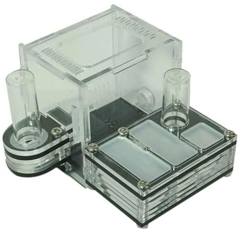 Ameisenfarm-Schloss, Mini-Acryl-Ameisenfarm, doppelter Wasserturm, Ameisenschloss, Lebensraum, ökologischer Ameisenpark für Kinder zum Studium des Insektenverhaltens