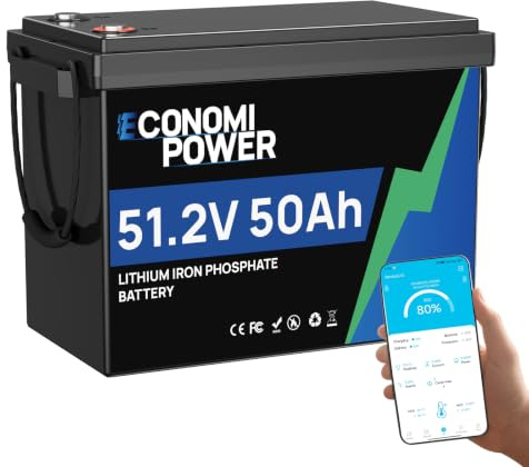 48V LiFePO4 Batterie, EconomiPower Lifepo4 50Ah Lithium-Batterie mit Grade A Zellen, 2560Wh nutzbare Energie für Wohnmobile, Trolling-Motoren, Yachten Solar-Wind-Energie-Speicher und Off Grid Leben
