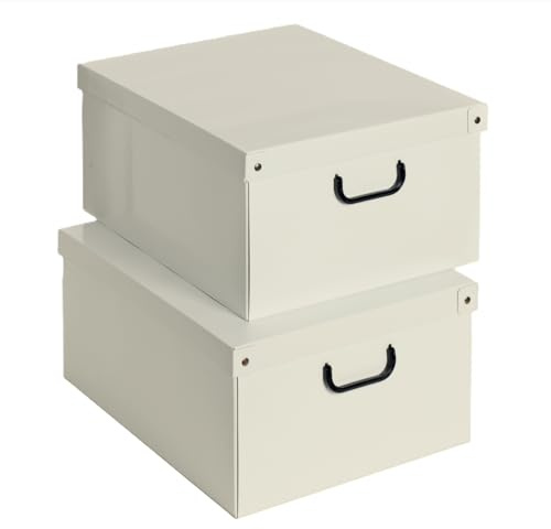 Lavatelli, Set 2 Scatole Organizer in Cartone per Armadio, 39x50x24 cm, con Coperchio e Maniglie, Beige