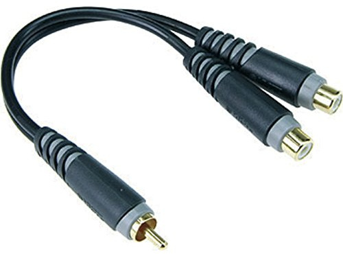 Klotz Adapter Cinch / 2x Ch. Buchse