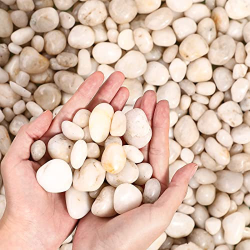 Sasylvia Ciottoli da 9,1 kg, ghiaia lucidata da 0,39 a 3,5 cm, pietre decorative per acquario, giardino, per piante all'aperto (bianco)