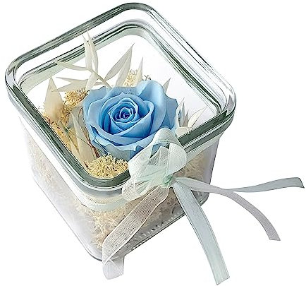 BEIJA FLOR Handgefertigte konservierte Rose im Glaswürfel 8 cm - Echte Ewige Rose - 3 Jahre haltbar - stilvolle Dekoration mit Infinity Rose - Geschenk für jeden Anlass – Made in Germany (Hellblau)