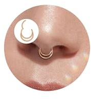 Lantine Rosegold Nasenpiercing Ring 16g Septum Piercing Chirurgenstahl Daith Conch Piercing Nasenring Doppelter Segmentring Clicker Spetum Ring Helix Tragus Piercing Ohr 8mm
