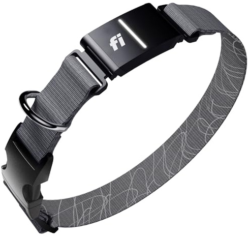 Fi New Series 3+ Smart Dog Tracker Collar [6 Month Membership Included] GPS Tracker for Dogs with Health & Behavior Monitoring, Escape Alerts, Waterproof, LED, Apple Watch Compatible (Gray, Medium)