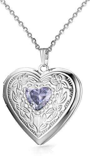 Birthstones Locket Necklace that Holds Pictures Love Heart Photo Locket Crystals Necklace Pendant Birthday Gifts (February)