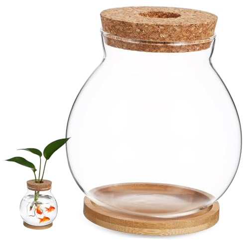 GRIRIW Couvercle de Réservoir de Poissons Betta Mini Aquarium pour Terrarium de Plantes Hydroponiques de Bureau