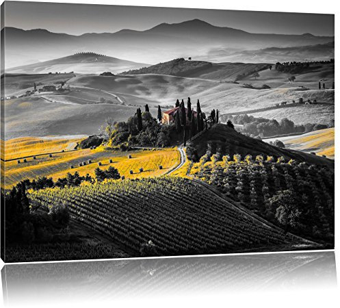 Pixxprint wunderschöne Toskana Landschaft mit Feldern B&W, Größe: 120x80cm, Leinwandbild, fertig gespannt, Wandbild, Dekoration, Kunstdruck, kein Poster